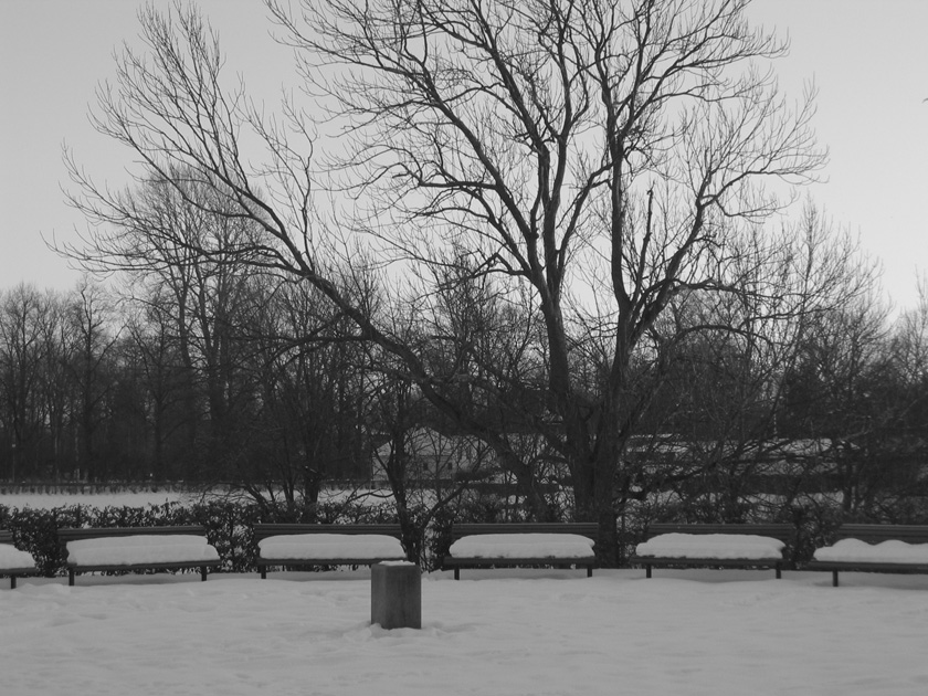 The proposal location