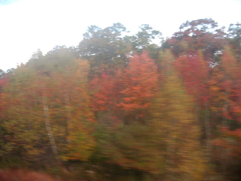 Connecticut Colours