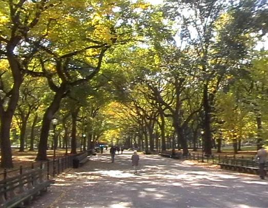 Central Park - Elm Avenue
