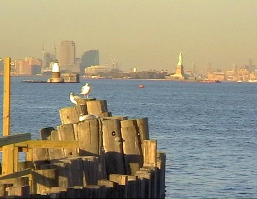 Statue of Liberty from Staten Island