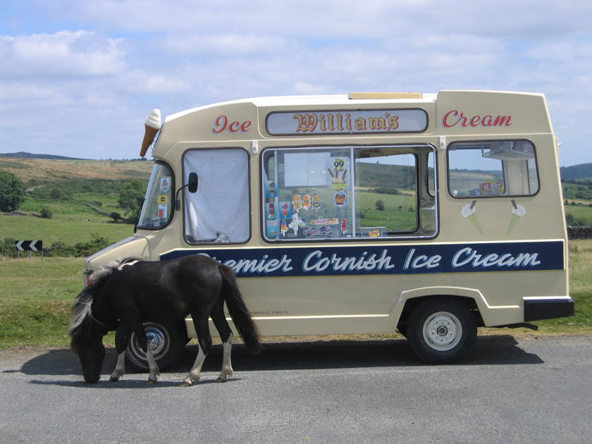 I want one!