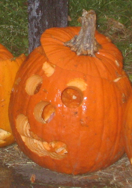 Pumpkin anyone?