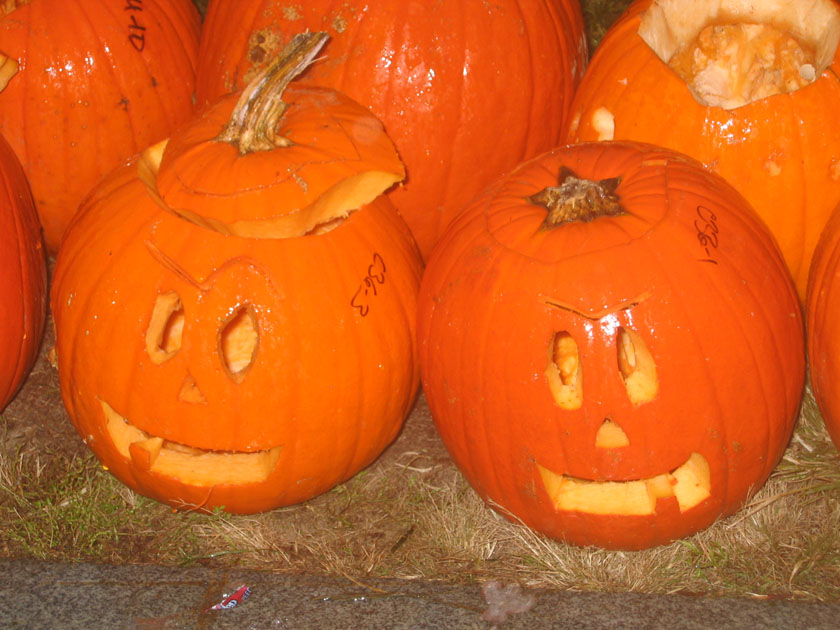 Say cheese!! Or should that be SQUASH?