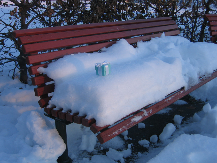 The box is snuggled in its ribbon on the snowy bench